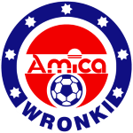 Амика Вронки
