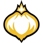 Onion Team