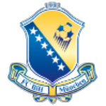 ФК Босна и Герцеговина Мюнхен II